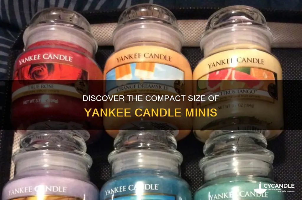 how big are yankee candle minis