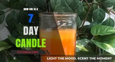 Standard 7-Day Candles: Size and Uses