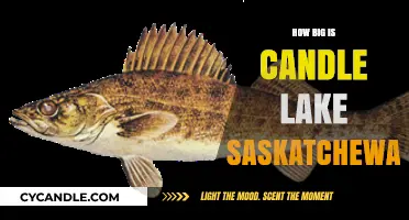 The Massive Candle Lake in Saskatchewan: Size and Significance