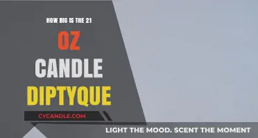 Large Diptyque Candles: 21 Oz of Luxury