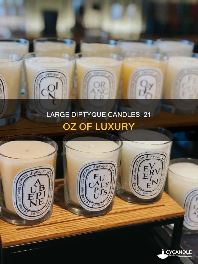 how big is the 21 oz candle diptyque