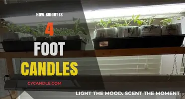 Understanding Brightness: 4 Foot Candles Explained