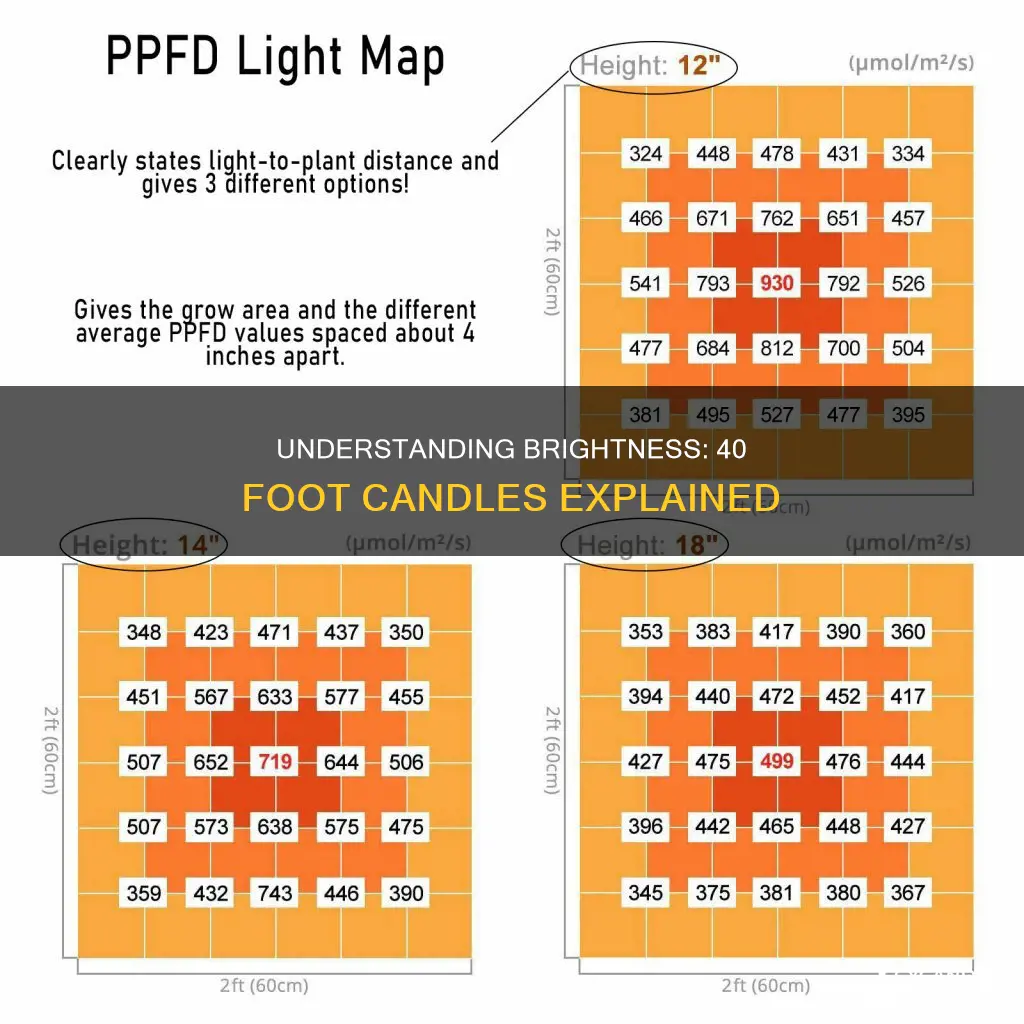 how bright is 40 foot candles