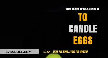 Optimal Light Brightness for Successful Egg Candling Techniques Explained