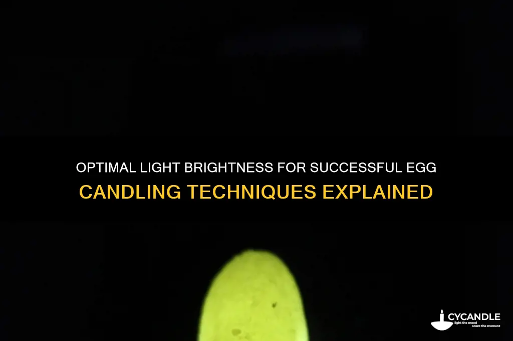how bright should a light be to candle eggs