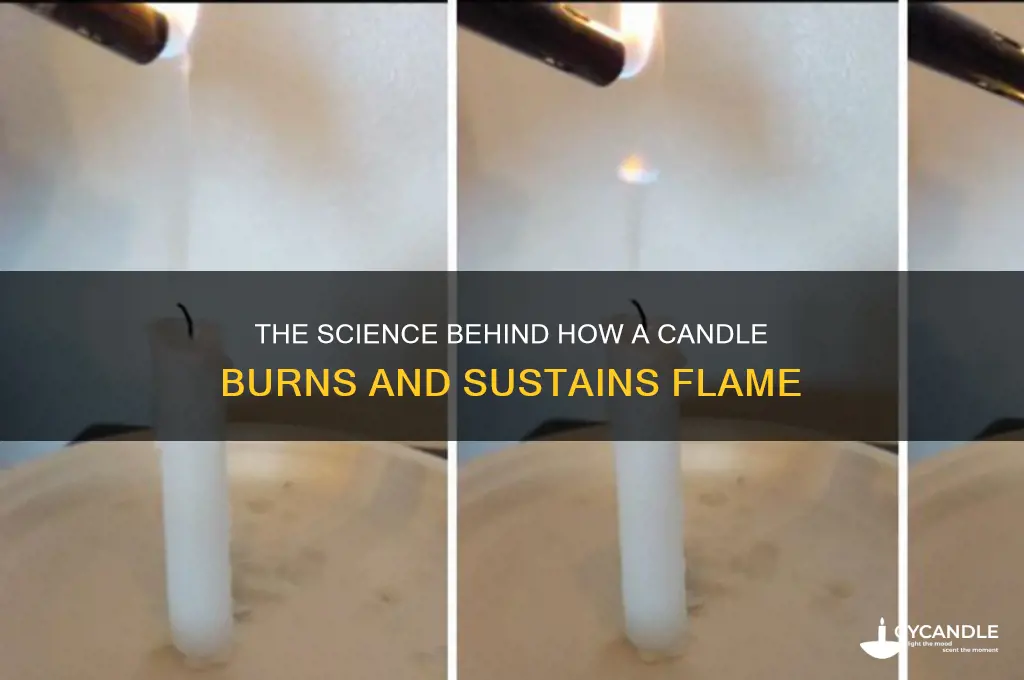 how can a candle burns