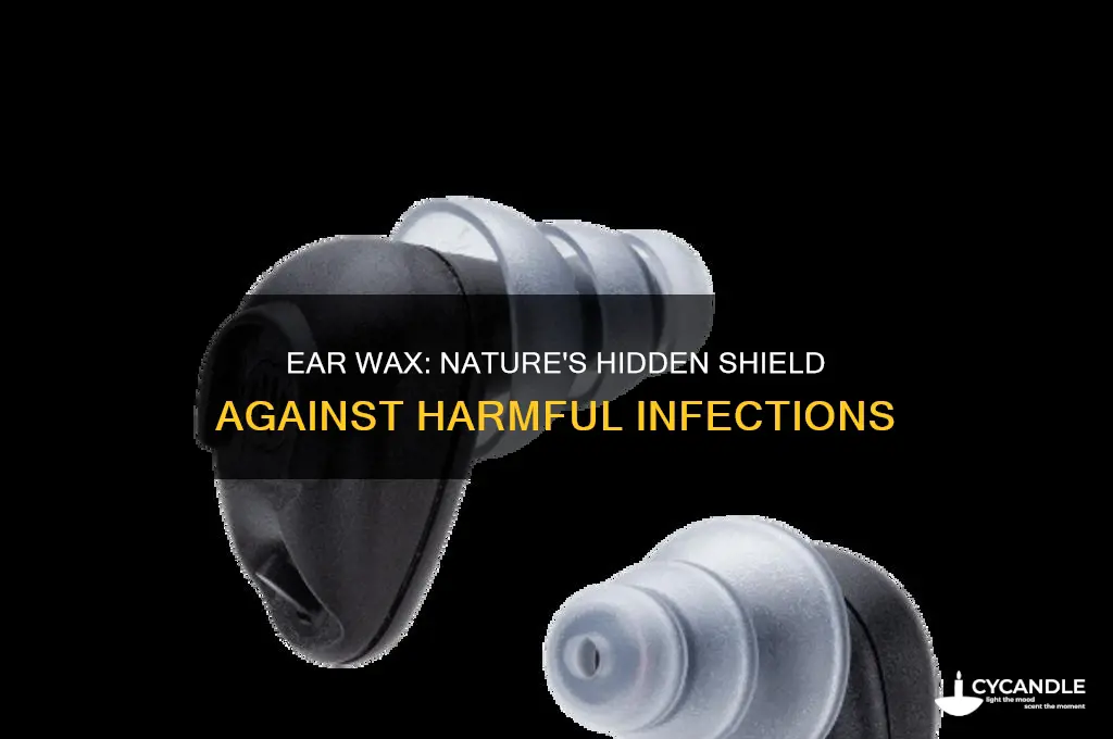 how can ear wax protect you from diseases