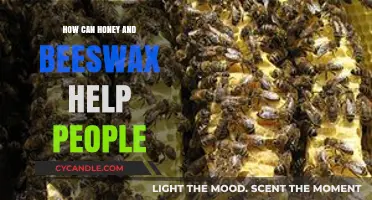 Honey and Beeswax: Natural Remedies for Health and Beauty