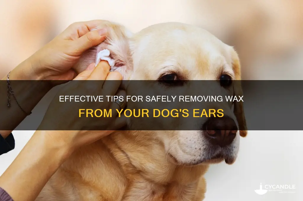 how can i clean wax out of my dog