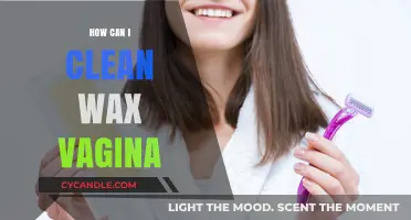 Effective Cleaning Tips for Wax Vagina Molds and Sculptures