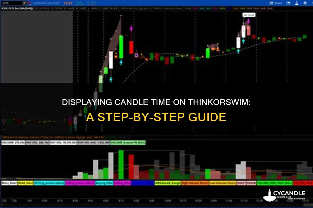 how can i display time of the candle on thinkorswim
