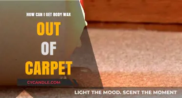 Effective Tips to Remove Body Wax Stains from Your Carpet