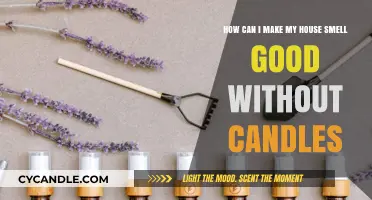 Freshen Your Home Naturally: Scent Solutions Beyond Candles