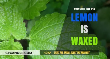 Identifying Waxed Lemons: Simple Tips to Spot the Coating