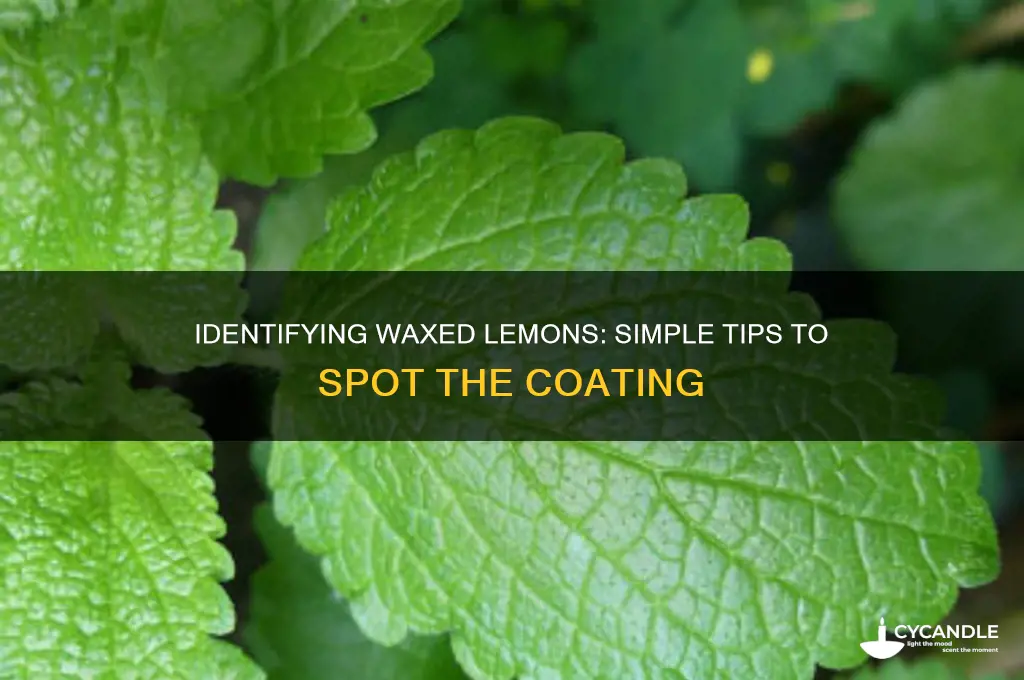 how can i tell if a lemon is waxed