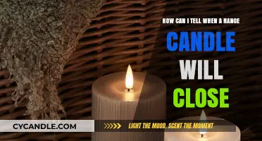 Mastering Range Candles: Predicting Close Times with Precision