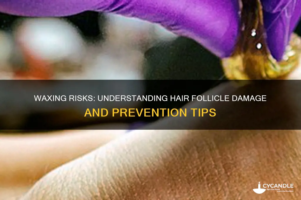 how can waxing break hair follicles