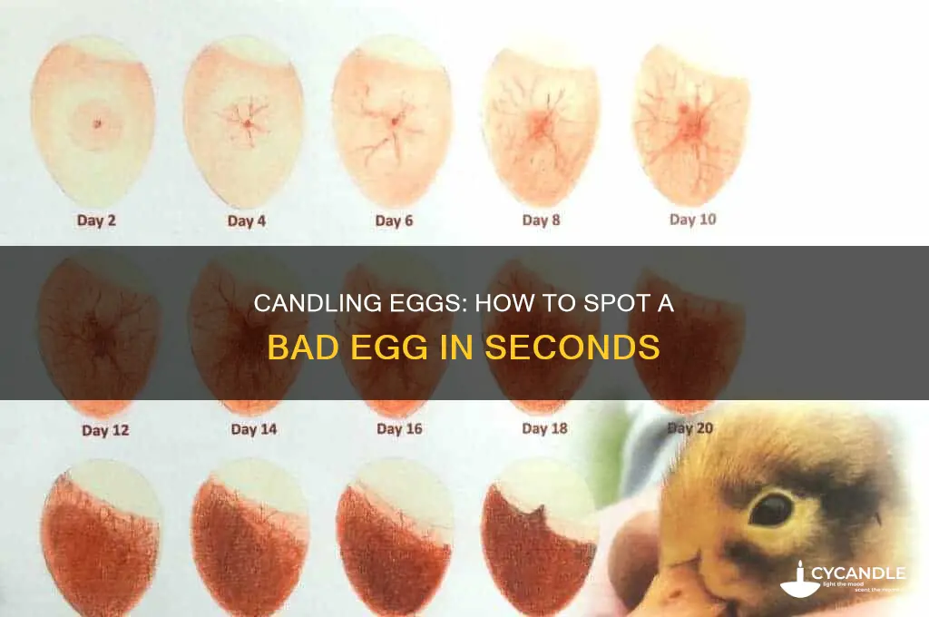 how can you tell if a candling egg is bad