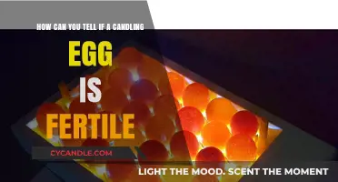 Identifying Fertile Candled Eggs: A Beginner's Guide to Spotting Signs