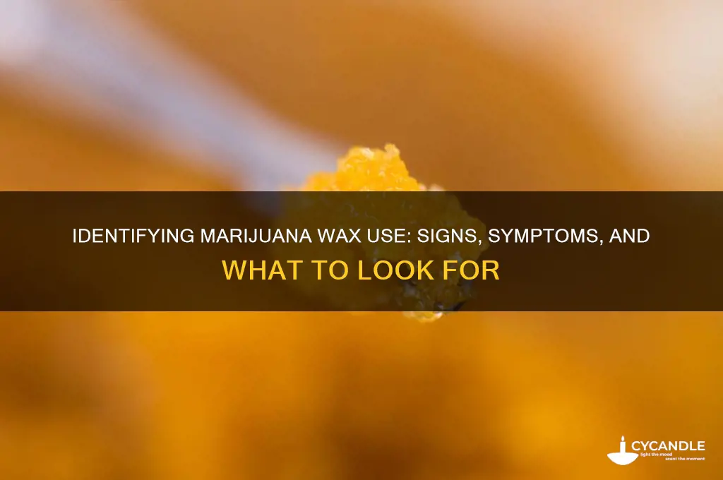 how can you tell if someone is doing marijuana wax