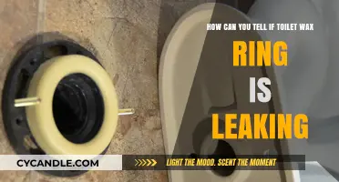 Signs Your Toilet Wax Ring is Leaking: Quick Detection Tips