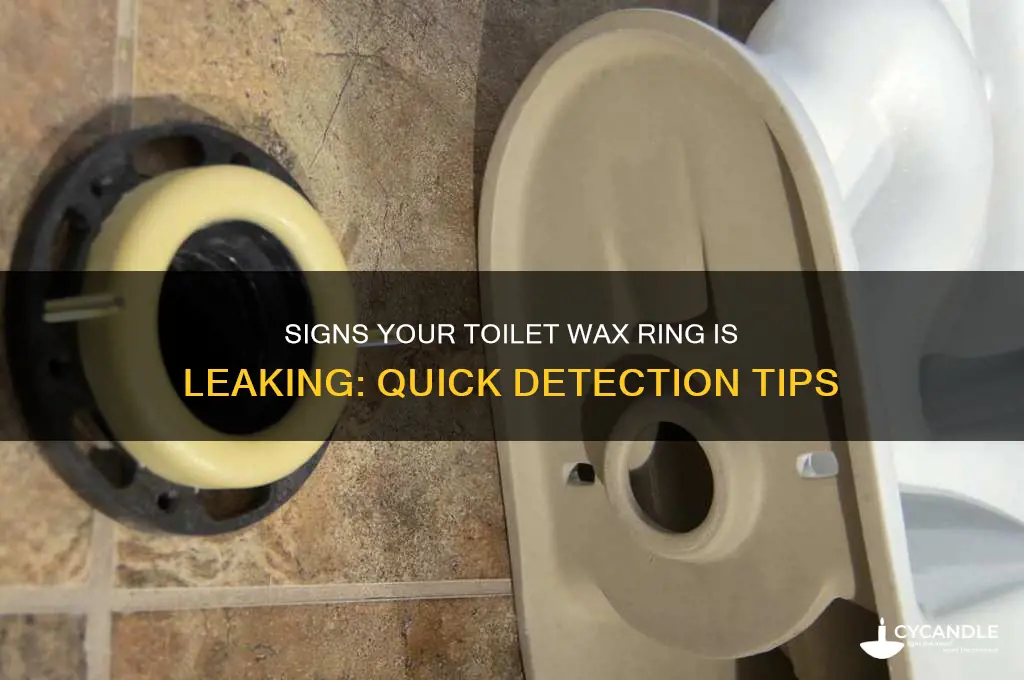 how can you tell if toilet wax ring is leaking
