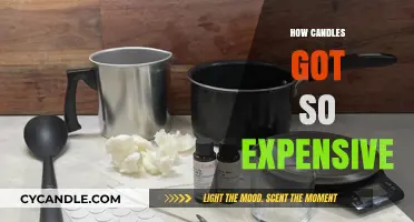 The High Cost of Candles: Why the Pricey Wax?