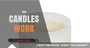 The Science of Candlelight: How Wax and Wick Create Warmth