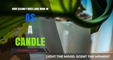 Lard as Candle Wax: Clean Burn or Smoky Mess?