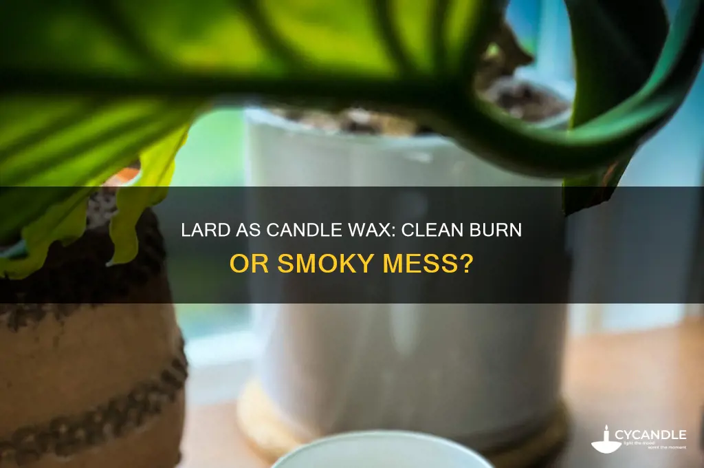how cleanly does lard burn in as a candle