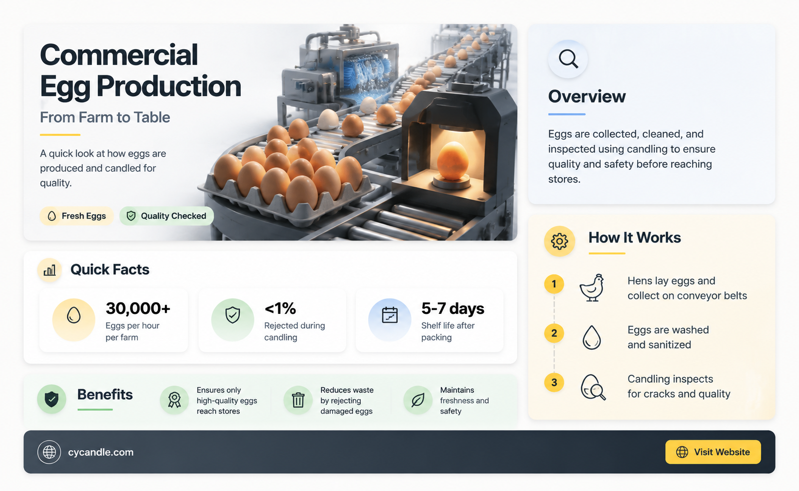 are commercial eggs still candled