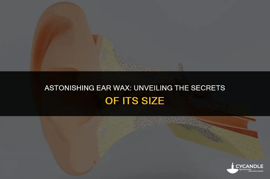 how could person have ear wax so big