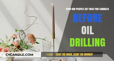 Ancient Candlelight: Sourcing Wax Before the Oil Drilling Era