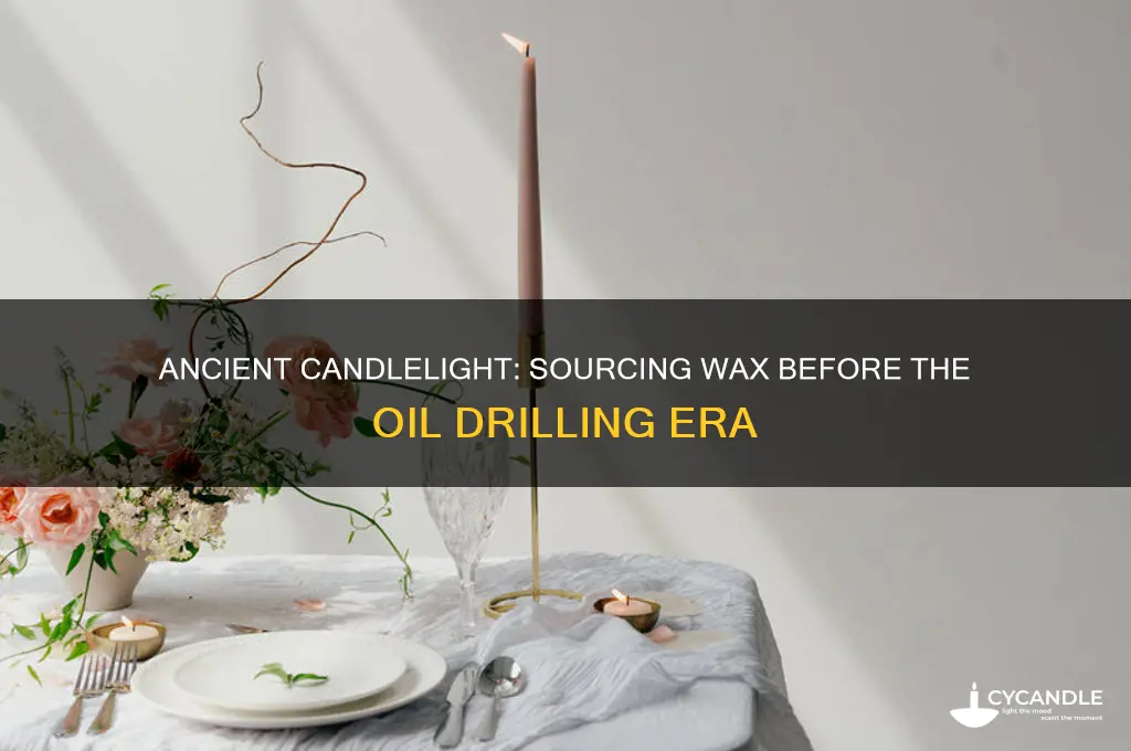 how did people get wax for candles before oil drilling