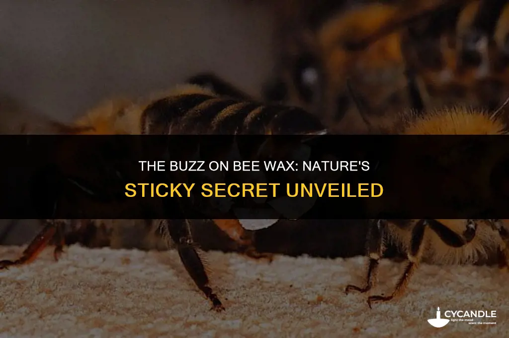 how do bees get wax