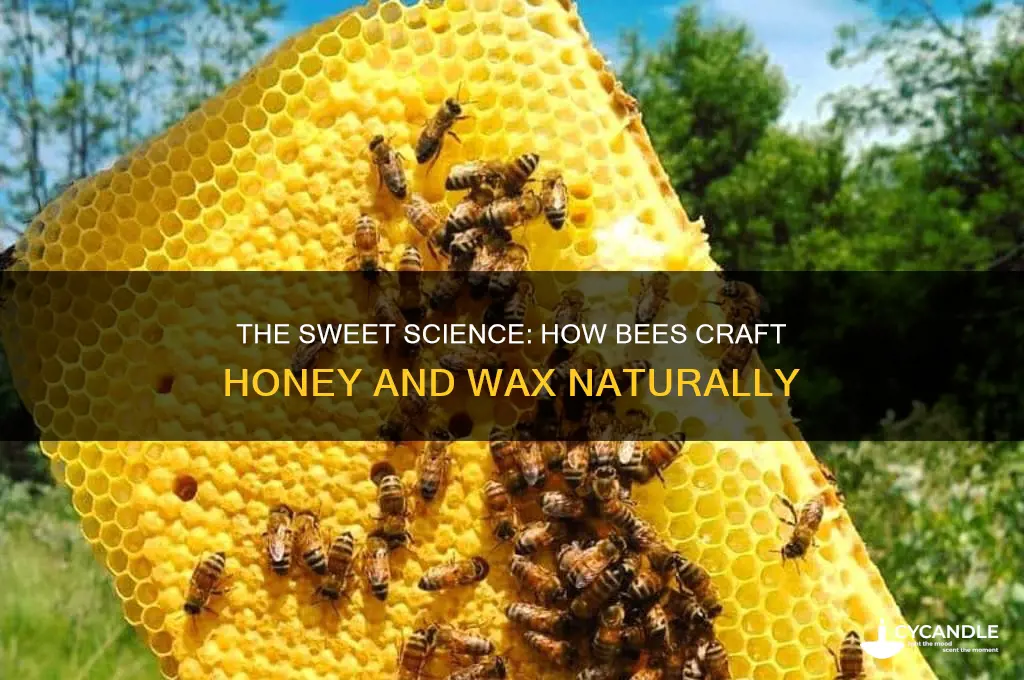 how do bees make both hone and wax