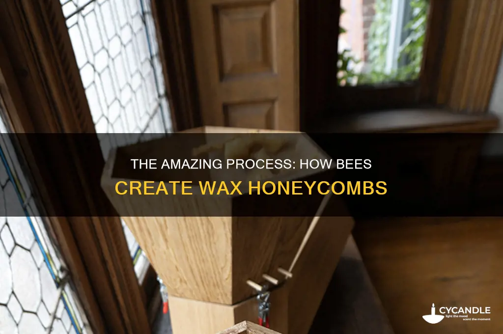 how do bees make wax combs