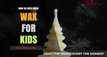 How Bees Create Amazing Wax: A Kid-Friendly Guide