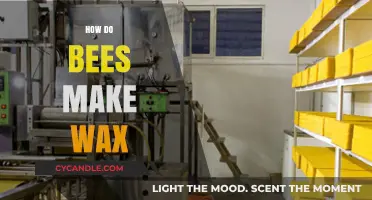 The Amazing Process: How Bees Produce and Use Wax