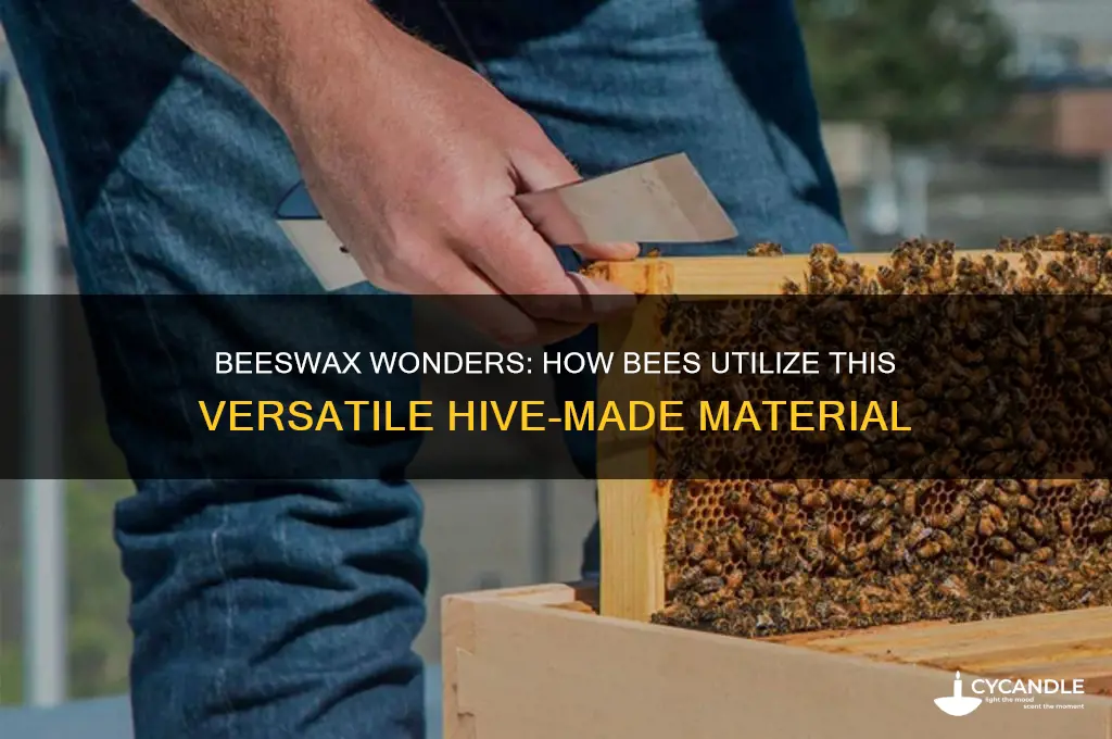 how do bees use beeswax