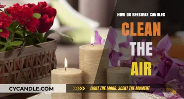 Beeswax Candles: Natural Air Purifiers for Your Home