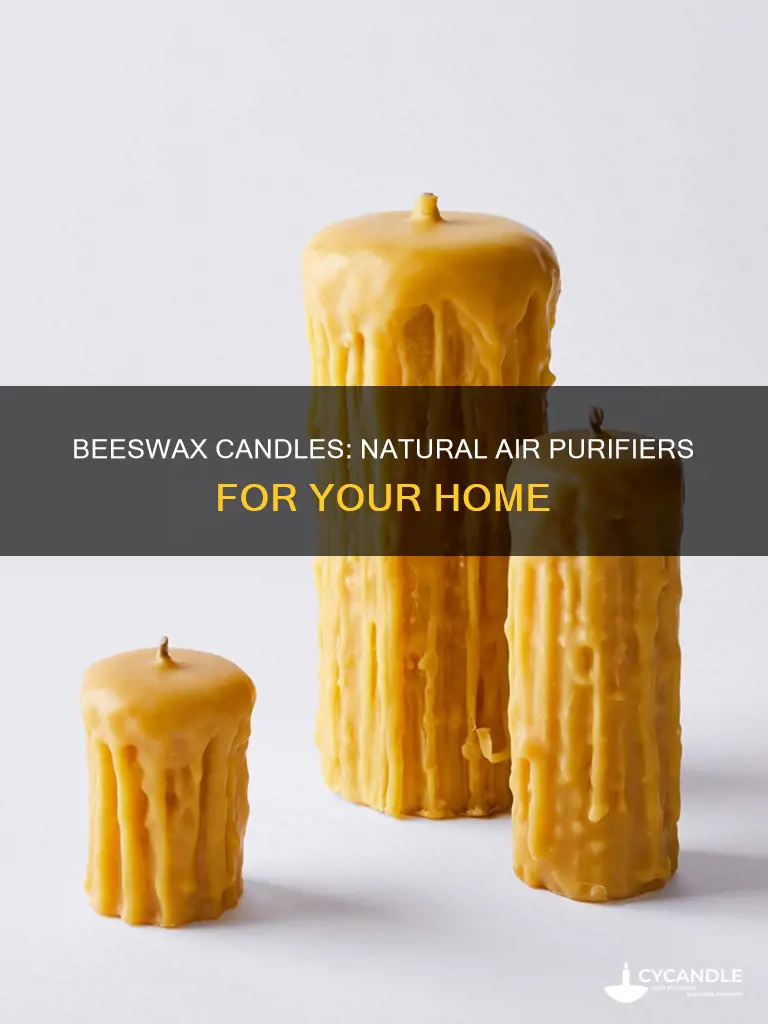 how do beeswax candles clean the air