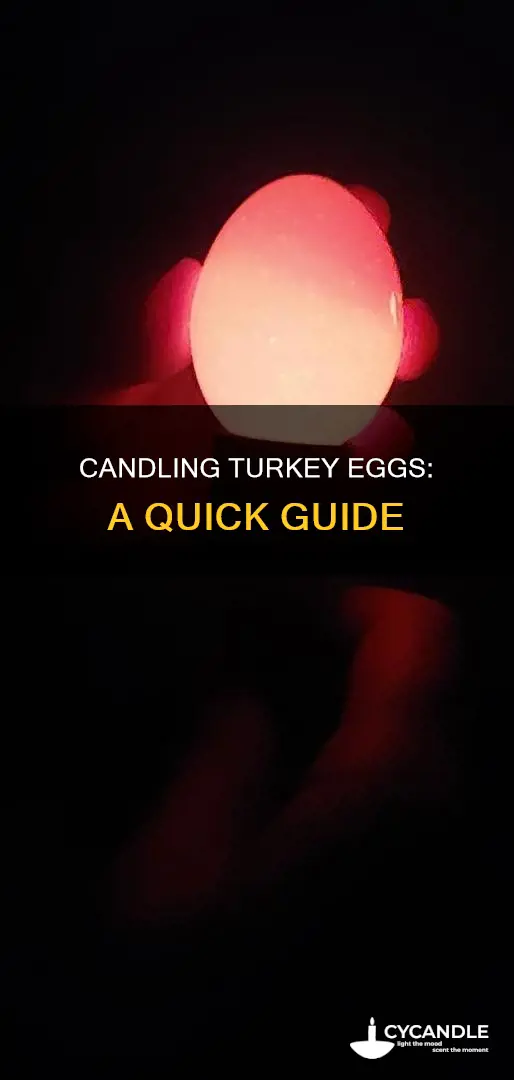 how do candle turkey eggs