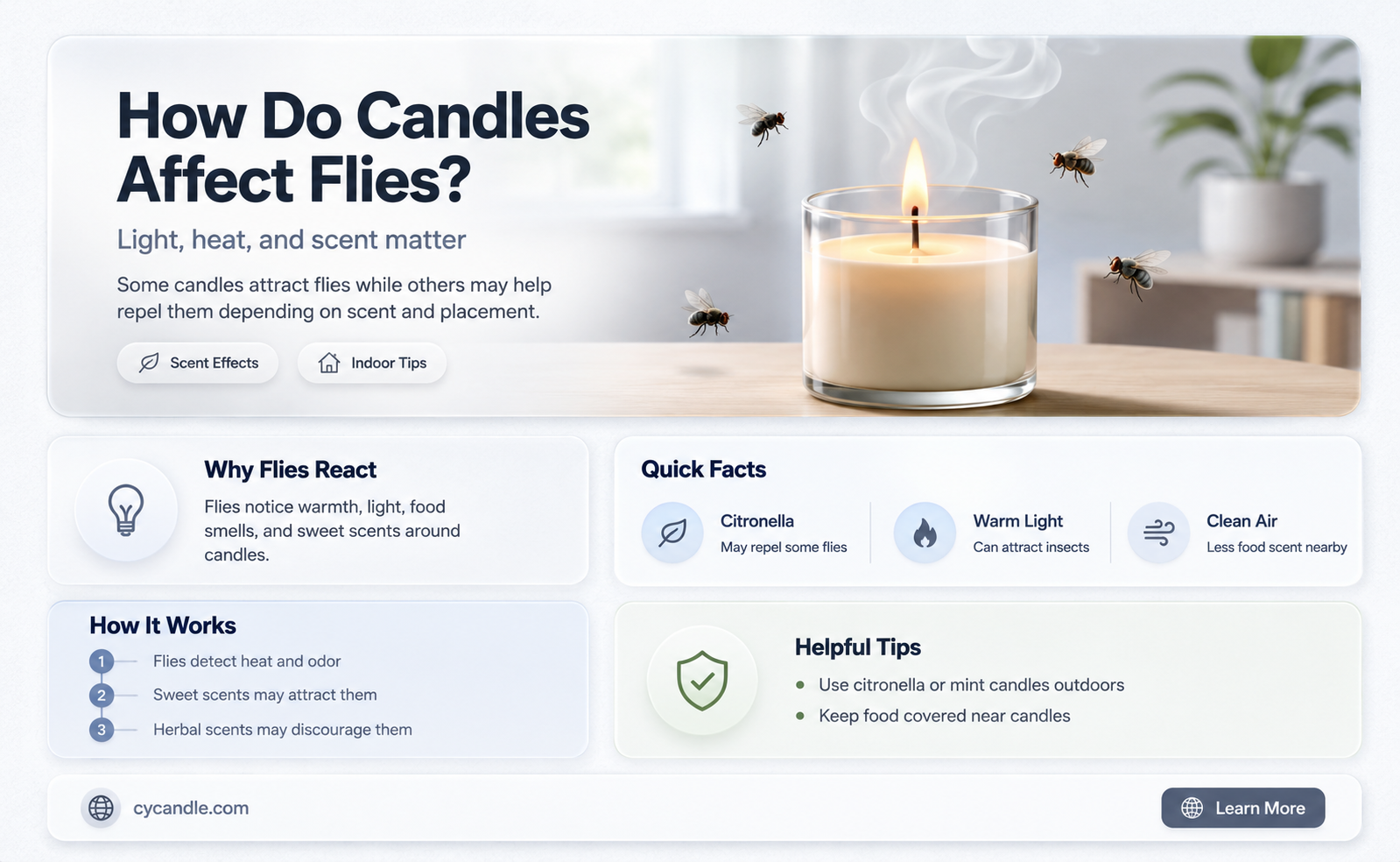 are flies afraid of candles