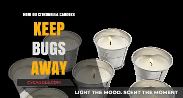 Citronella Candles: Natural Bug Repellent for Your Home and Garden
