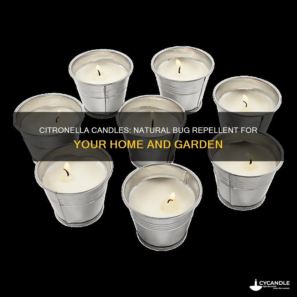 how do citronella candles keep bugs away