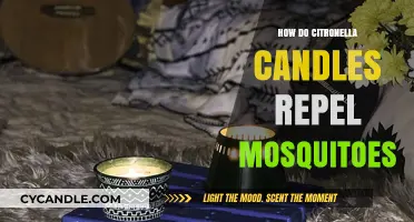 Citronella Candles: Natural Mosquito Repellent for Your Home