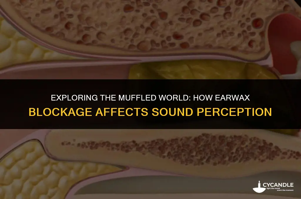 how do ear wax blockage sound