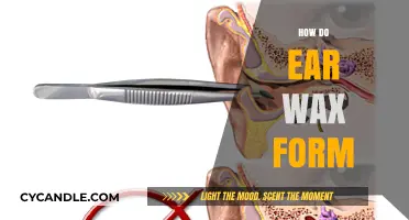 The Surprising Journey of Earwax: From Formation to Function