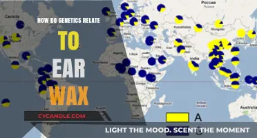Unraveling the Genetic Link to Ear Wax Production and Its Implications